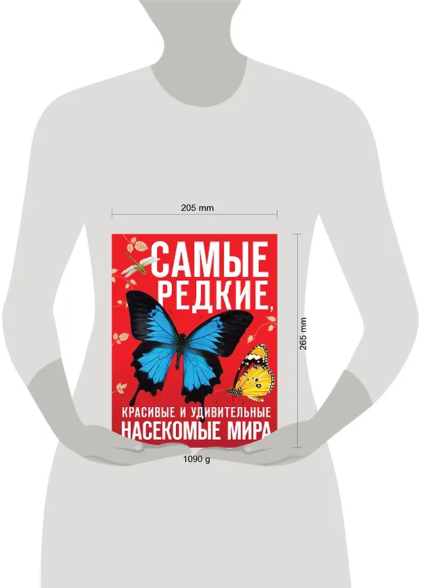 Книга Самые редкие, красивые и удивительные насекомые мира (Дмитрий Лукашанец, Екатерина Лукашанец) — 5