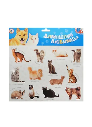 Магнит Домашние любимцы (2565) (набор) 3+) (упаковка) 2462104