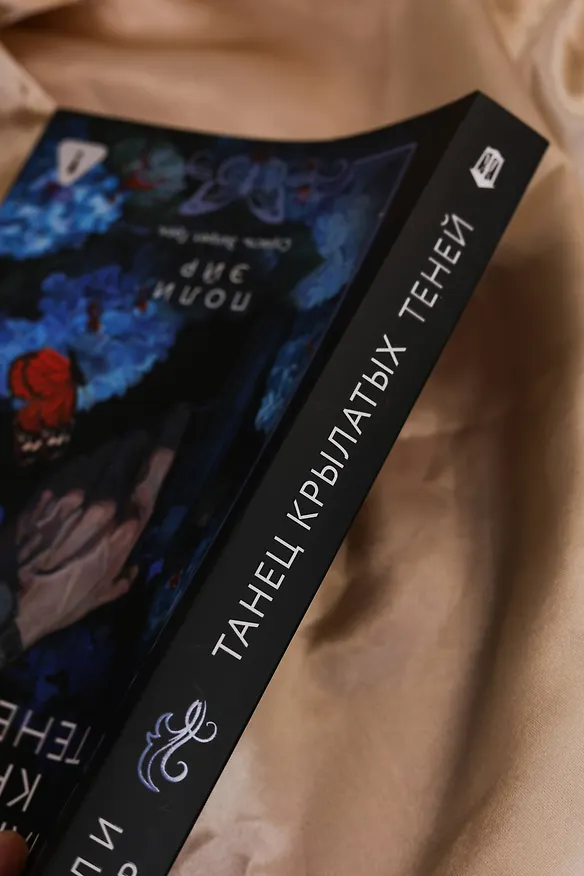 Книга Танец крылатых теней (Поли Эйр) — 14