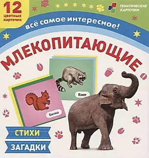 Млекопитающие. 12 развивающих карточек с красочными картинками, стихами и загадками для занятий с детьми — 2779540 — 1
