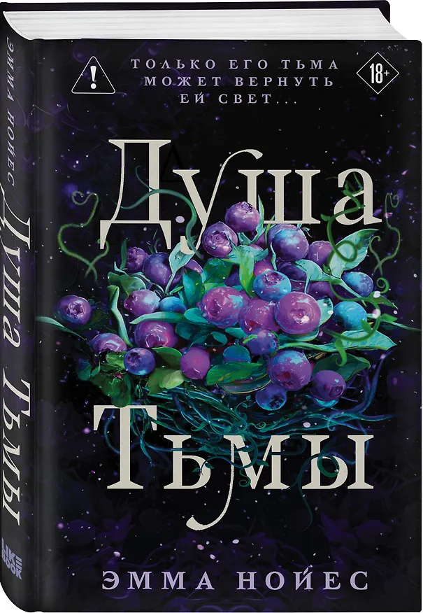 Книга Душа тьмы (Эмма Нойес) — 4