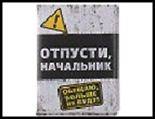 Обложка для автодокументов объём "Отпусти, начальник" 13,5*9,5см пластик 553789 2322735 — 1