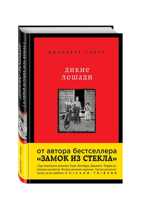 Книга Дикие лошади. У любой истории есть начало (Джаннетт Уоллс) — 4