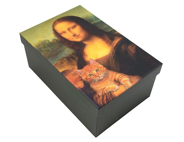 Коробка подарочная "КотоАрт" 19*12.5*8см, картон 3125664 — 1