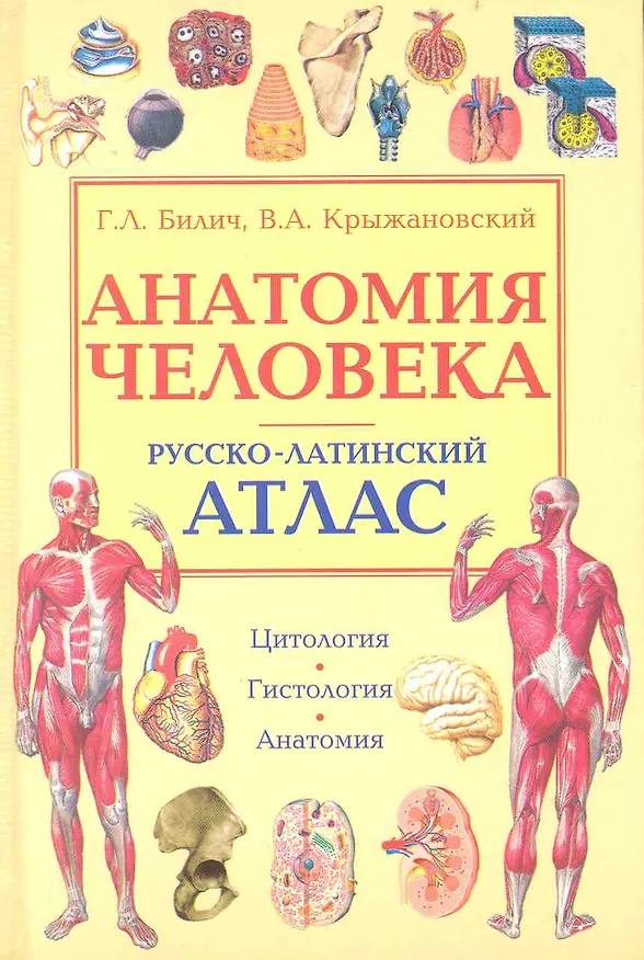 Книга Анатомия человека. Русско-латинский атлас. Цитология. Гистология. Анатомия / (2 изд). Билич Г., Крыжановский В. (Оникс) () — 1