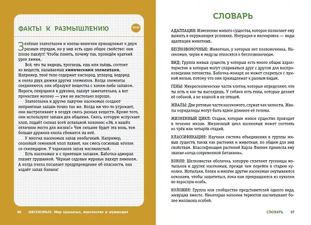 Книга Насекомые. Мир крылатых, многоногих и жужжащих (Шерман Джонстон) — 9