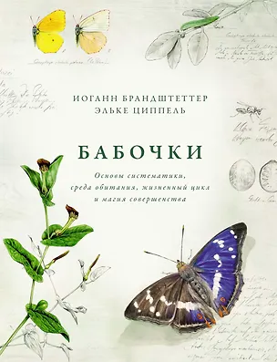 Книга Бабочки. Основы систематики, среда обитания, жизненный цикл и магия совершенства (Иоганн Брандштеттер, Эльке Циппель)