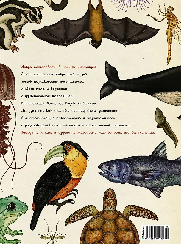 Книга Анималиум (Дженни Брум) — 2
