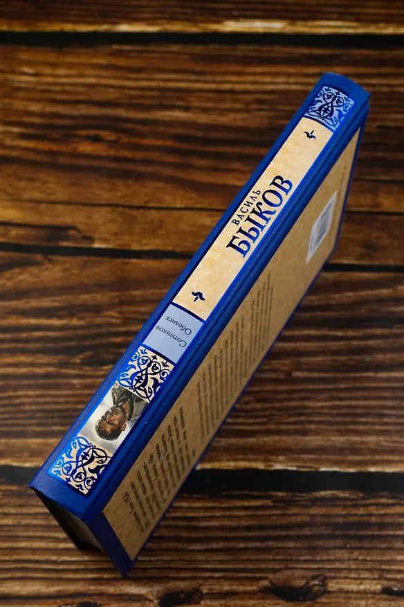 Книга Сотников. Обелиск (Василь Быков) — 7
