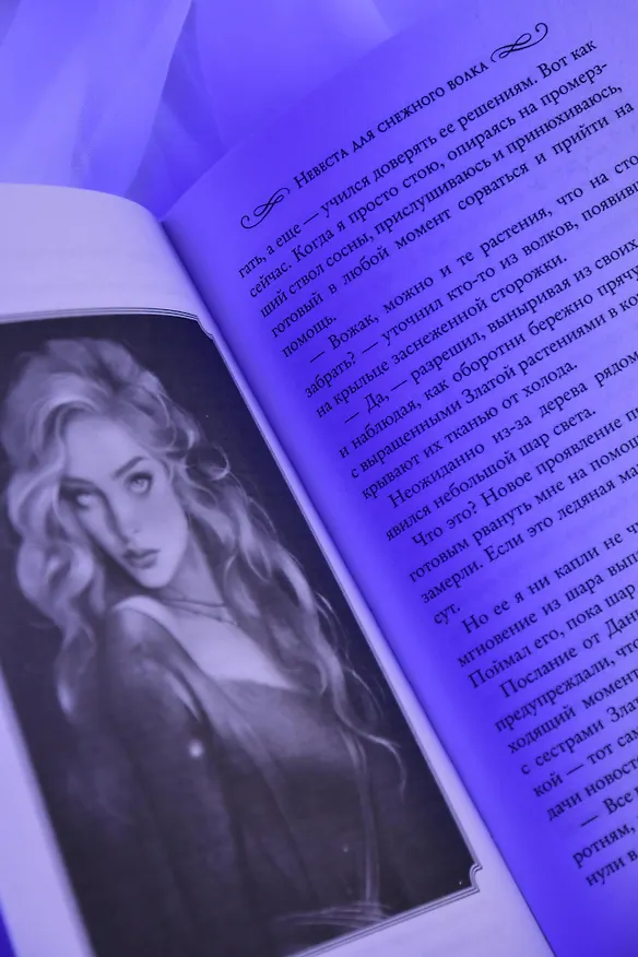 Книга Невеста для снежного волка (Ольга Шерстобитова) — 13