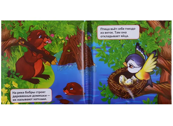 Книга Чей домик? Книжка-пищалка для ванной (Алексей Козырь, Анна Козырь) — 3