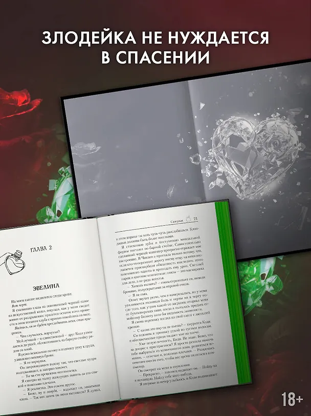 Книга Скверная. Специальное издание (Эмили Макинтайр) — 6