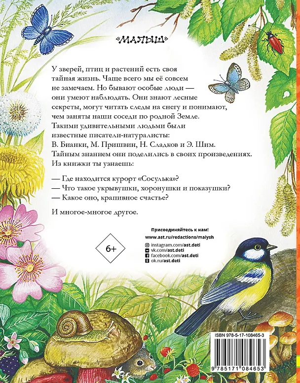 Книга Лесные домишки. Сказки и рассказы (Виталий Бианки) — 2