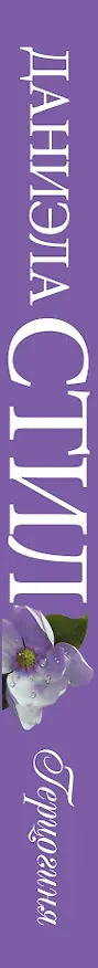 Книга Герцогиня (Даниэла Стил) — 3