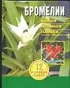 Бромели. Выбираем, выращиваем, ухаживаем