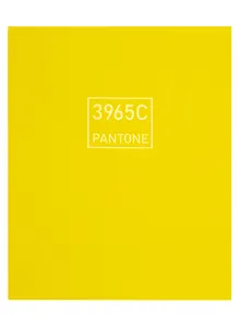 Книга для записей А5+ 96л лин. "Императорский лимон" интеграл.перепл., матов.ламин., выб.лак