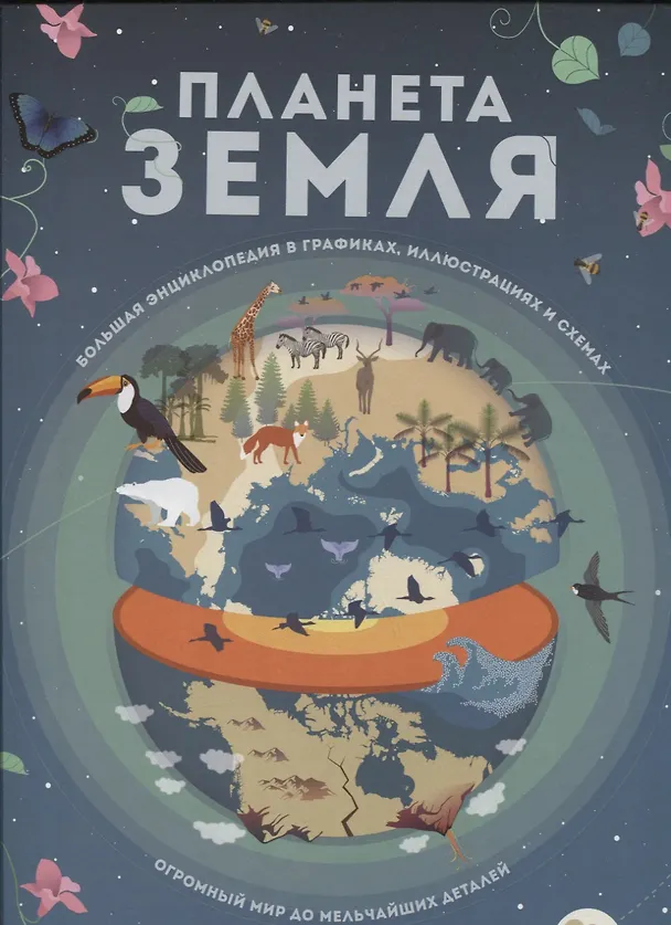 Книга Планета Земля. Большая энциклопедия в графиках, иллюстрациях и схемах (Кристина Банфи) — 1