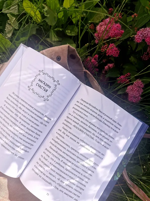 Книга Амир и безумный ингредиент (Шермин Яшар) — 10