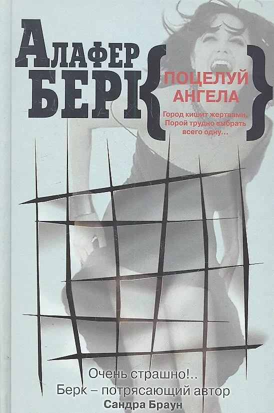 Книга Поцелуй ангела (Алафер Берк) — 1
