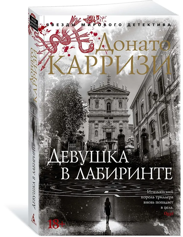 Книга Девушка в лабиринте (Донато Карризи) — 4