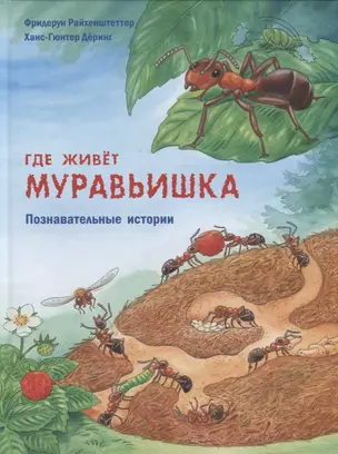 Где живёт муравьишка. Познавательные истории — 2697763 — 1