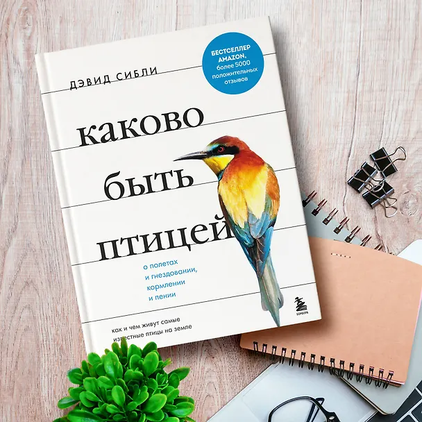 Книга Каково быть птицей: о полетах и гнездовании, кормлении и пении. Как и чем живут самые известные птицы на земле (Дэвид Сибли) — 11