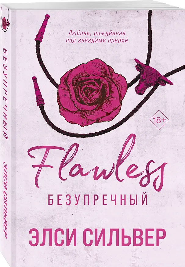Книга Безупречный (#1) (Элси Сильвер) — 5