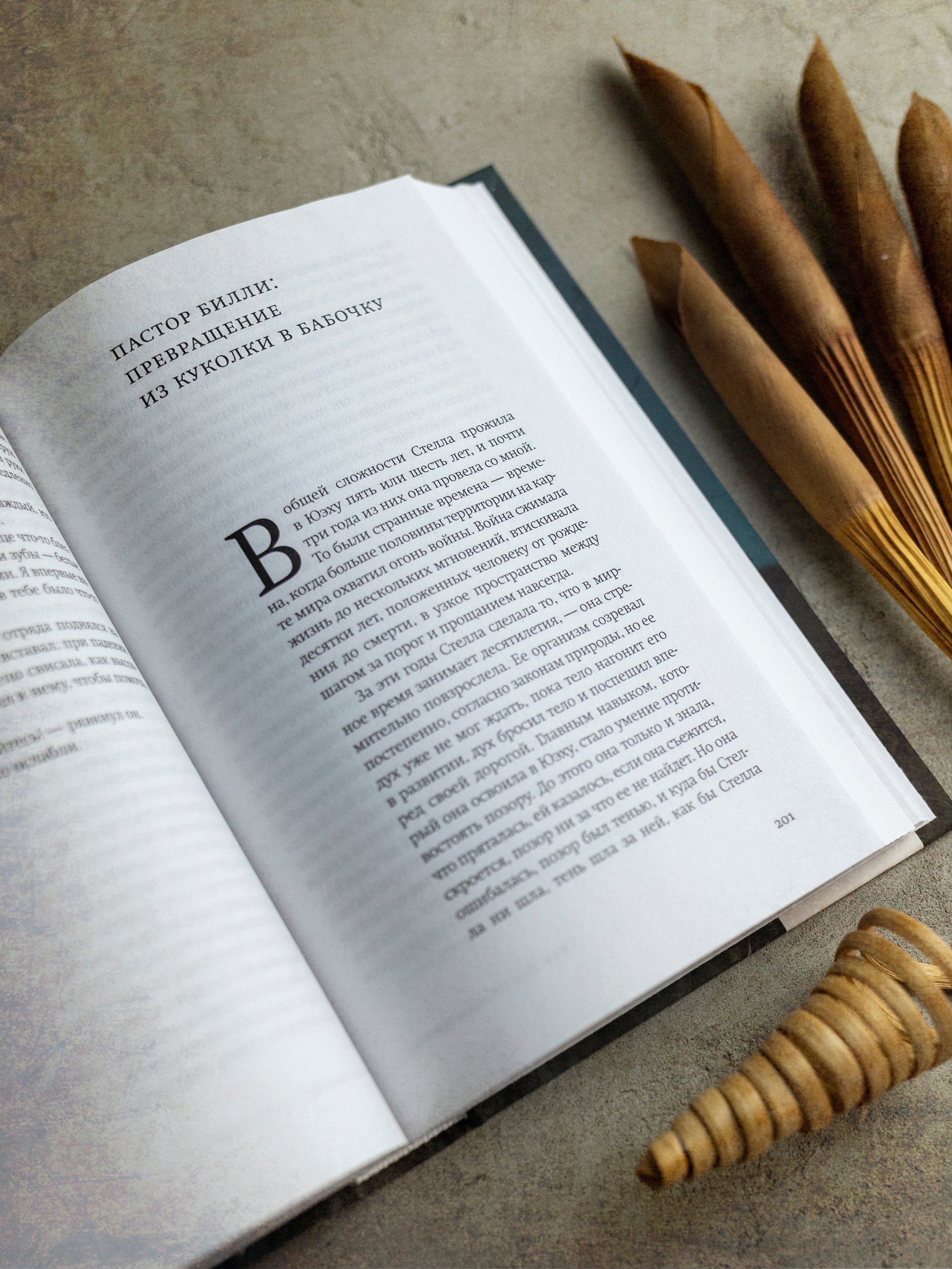 Изображение бумажной книги