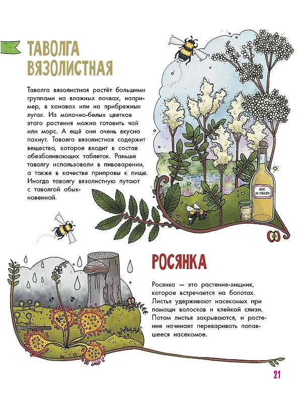 Книга Цветы и растения (Эмма Янссон) — 11