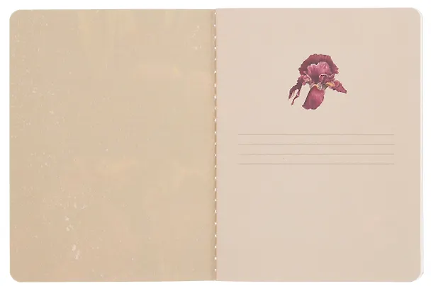 Записная книжка «Blossom. Irises on black» А6, 32 листа, нелинованная, сшивка 3077744 — 3