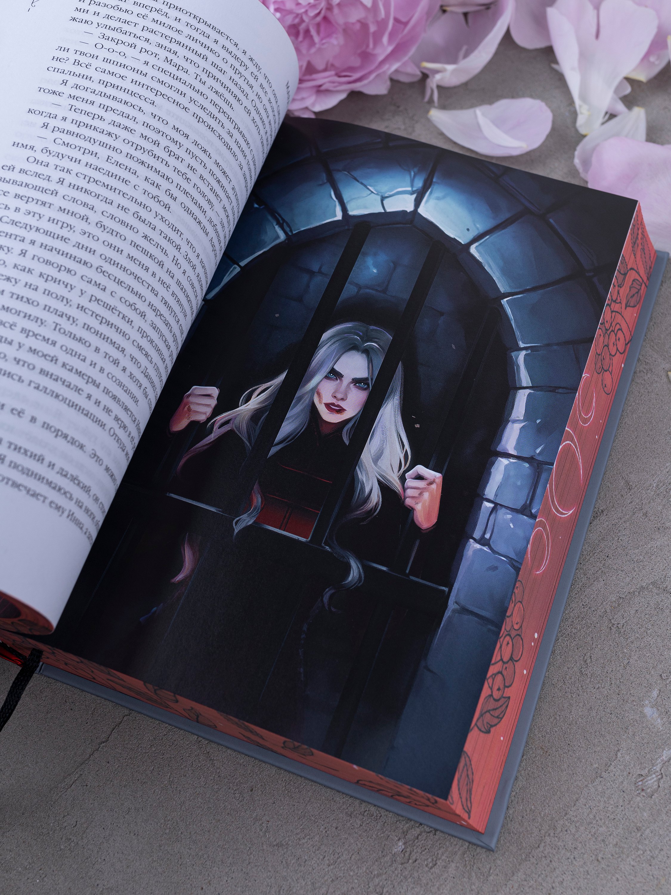 Изображение бумажной книги