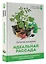 Идеальная рассада. Особенности выращивания своими руками — 2965203 — 3
