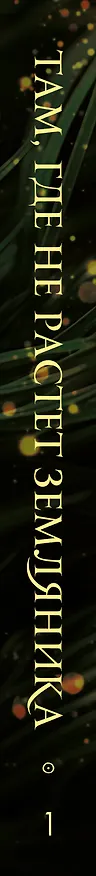 Книга Там, где не растет земляника. Книга 1. (Хелен Дарлинг) — 3
