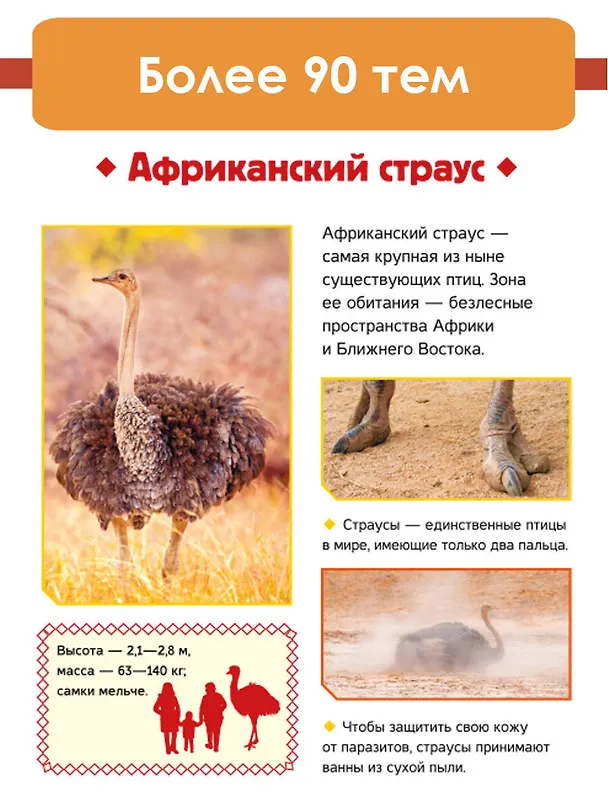 Книга Животные (Любовь Вайткене, Ирина Попова) — 6
