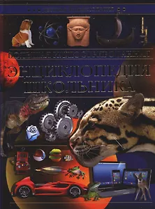 Большая иллюстрированная энциклопедия школьника