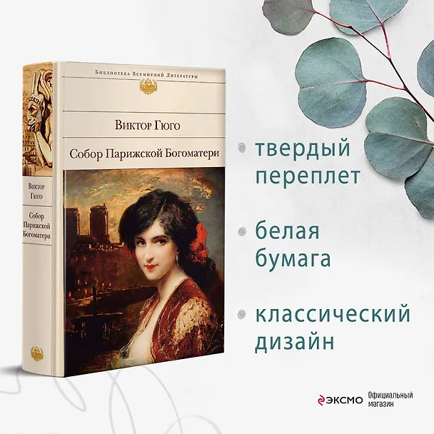 Книга Собор Парижской Богоматери (Виктор Мари Гюго) — 6