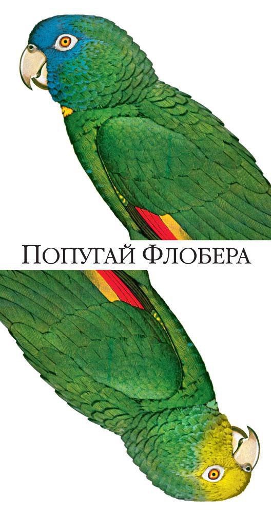 

Попугай Флобера