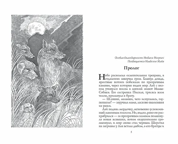 Книга Тьма наступает (Эрин Хантер) — 2
