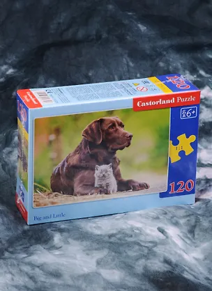 Пазл Castorland MIDI Собака и котенок 120эл., 32*23см 2585674