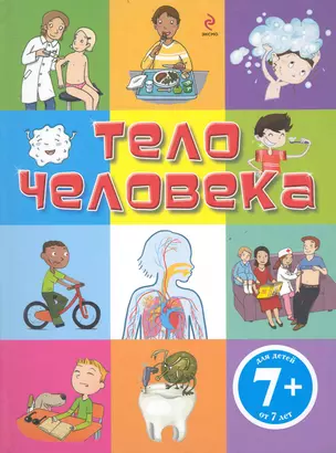 Тело человека — 2237202 — 1