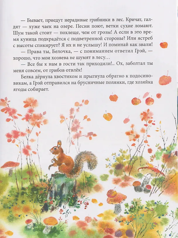 Книга Чаща любит тишину (Евгения Чарушина-Капустина) — 4
