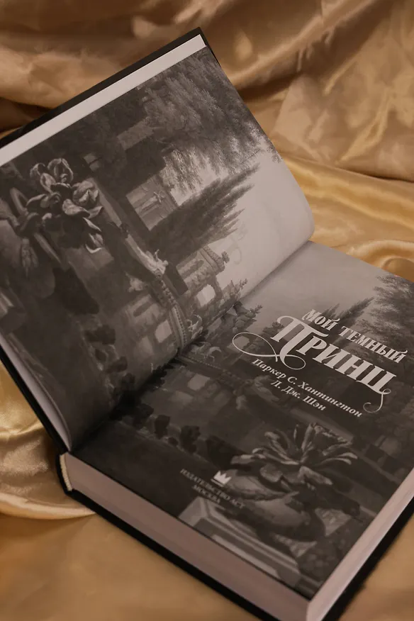 Книга Мой темный принц (Л.Дж. Шэн, Паркер С. Хантингтон) — 13