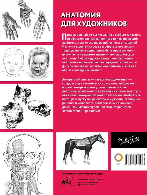 Книга Анатомия для художников () — 2