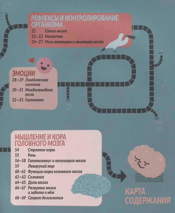 Книга Сон Алисы, или Как работает твой мозг (Ежи Ветулани) — 3
