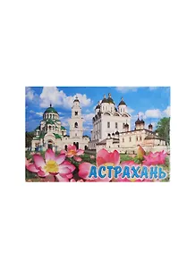 Магнит металлический плоский "Астрахань" (02-82)