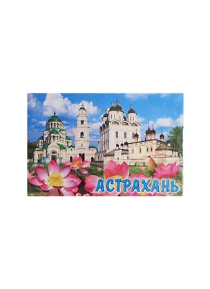 Магнит металлический плоский "Астрахань" (02-82) 2365165