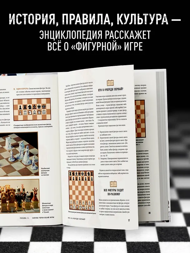 Книга Большая энциклопедия шахмат. Все тайны самой интеллектуальной игры в истории: от древних досок до величайших игроков (Михаил Чесалин) — 6