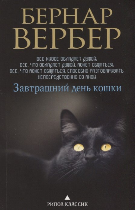 

Завтрашний день кошки