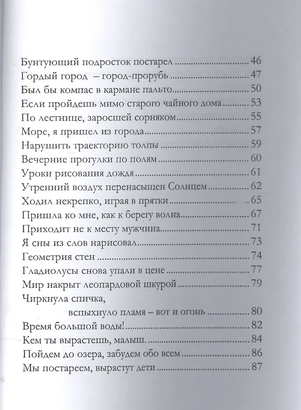 Книга Каменный век (Павел Быков) — 3