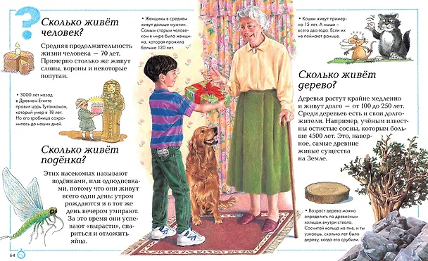 Книга Отчего и почему? (Анита Ганери, Филип Стил, Дженни Вуд, Бренда Уолпол, Эндрю Чермен, Бриджит Эвисон) — 8